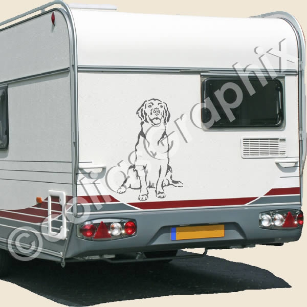 Golden Retriever hundeaufkleber