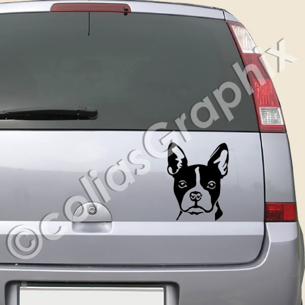 Boston Terrier Wandtattoo