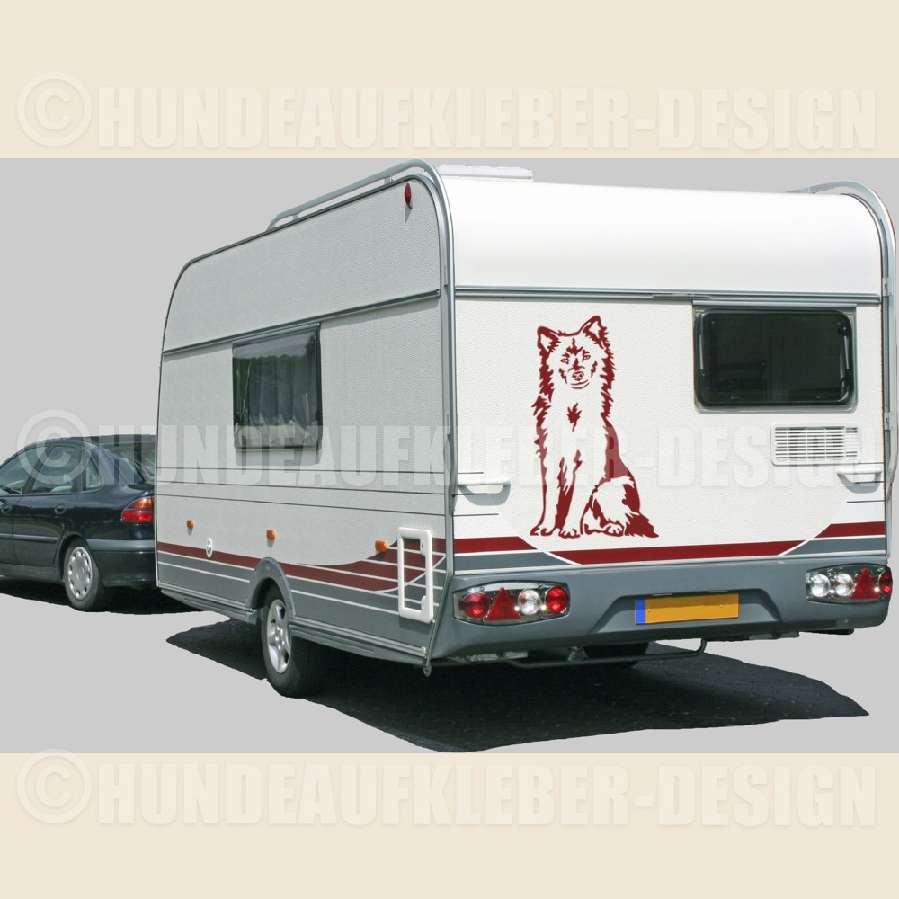 Islandhund Hunde Autoaufkleber