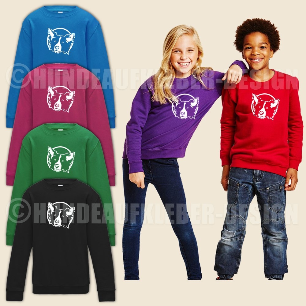 Kinder Pullover Border Collie