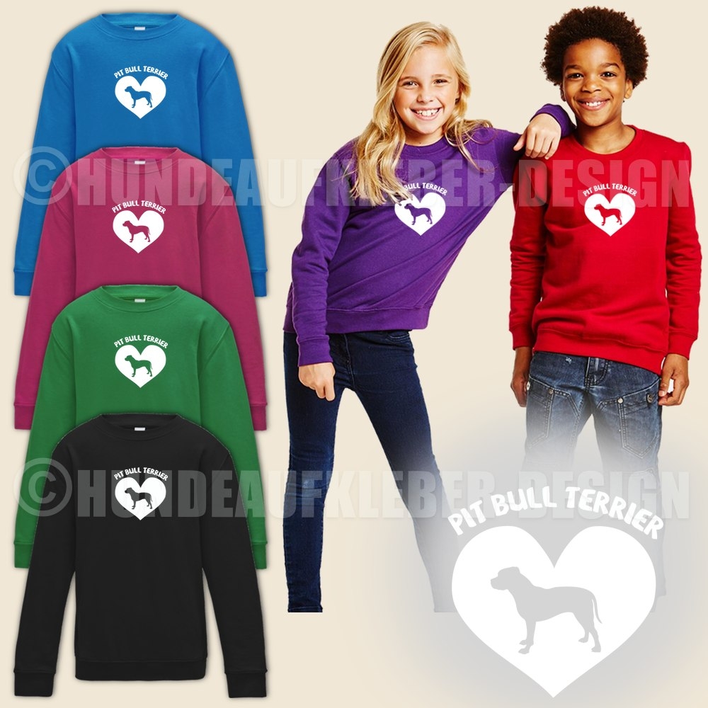 American Pit Bull Terrier Pullover Kinder