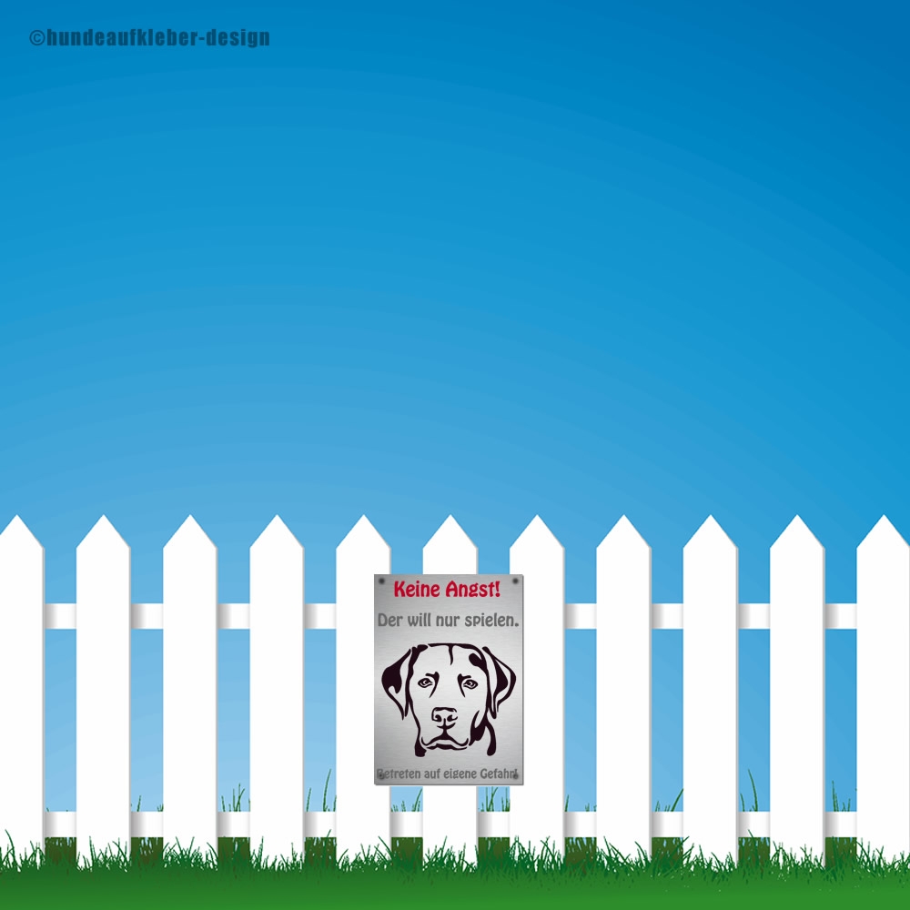 Hunde Schilder Labrador