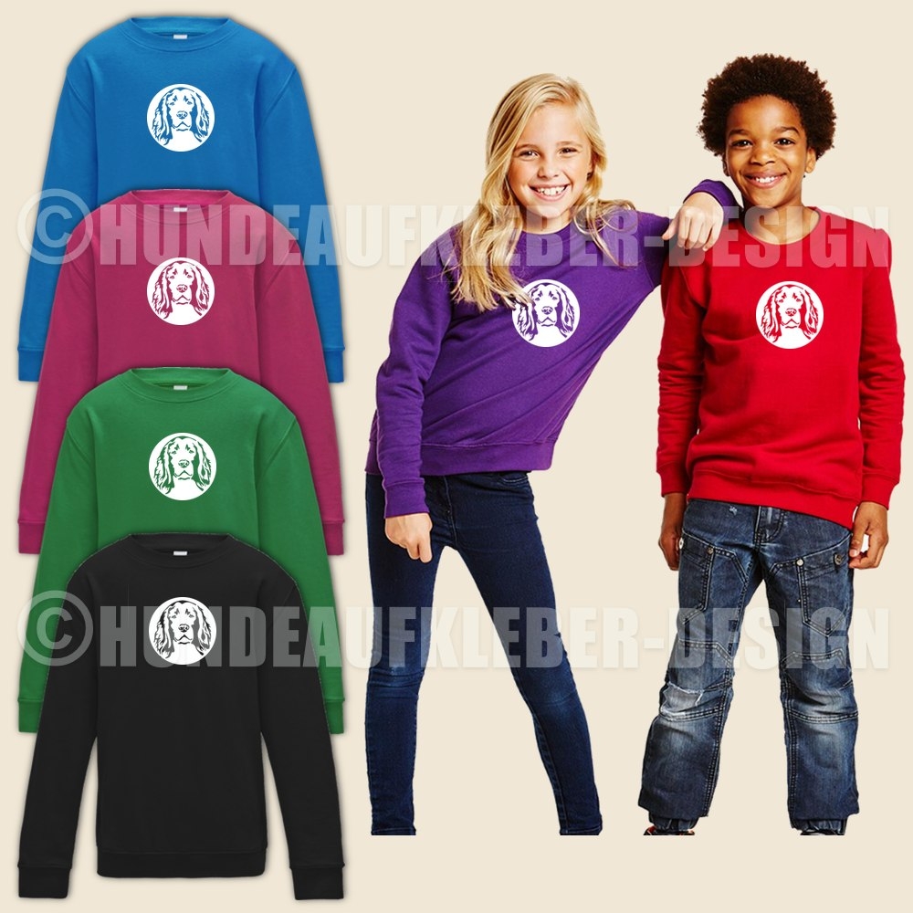 Irish Setter Kinder Pullover Hunde