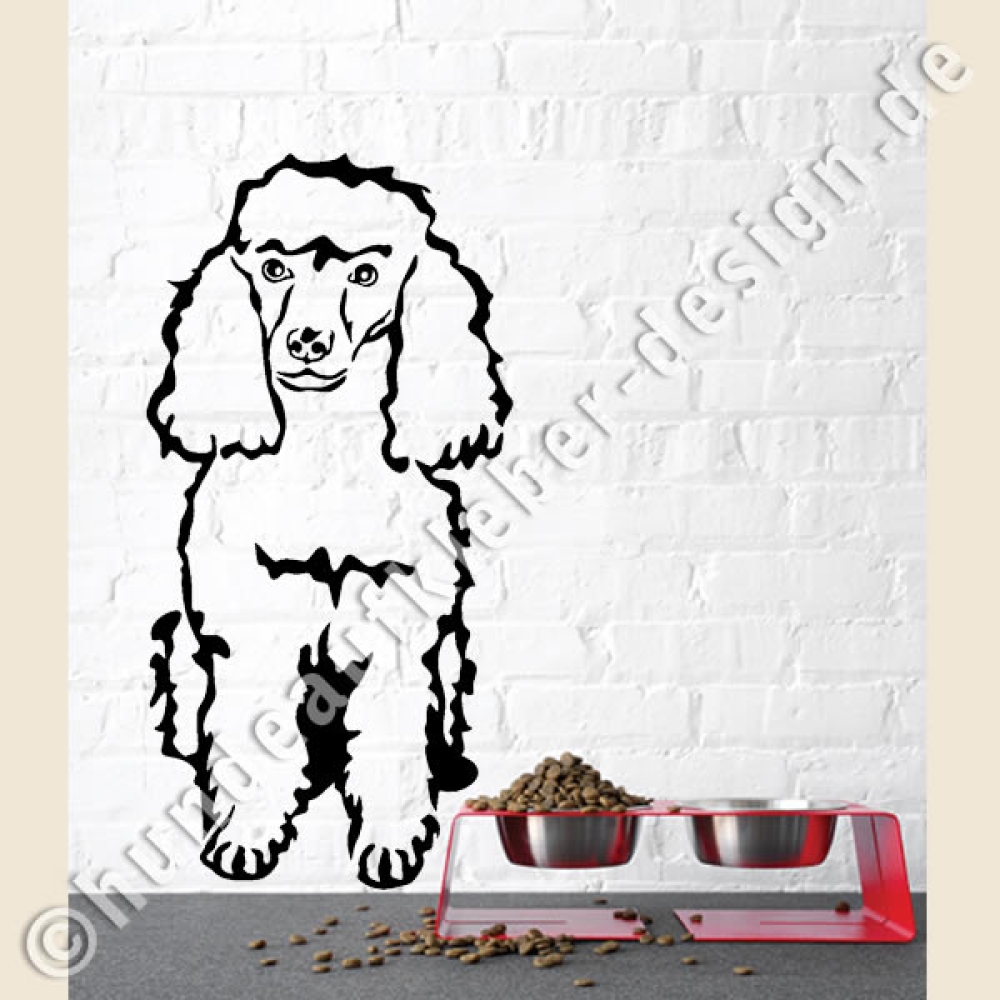 Zwergpudel wandtattoo hunde