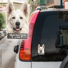 Berger Blanc Suisse an Bord Autoaufkleber