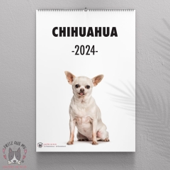 Chihuahua Wandkalender 2024