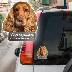 Cockerspaniel an Bord Autoaufkleber
