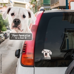 Dogo Argentino an Bord Autoaufkleber