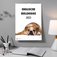 Englische Bulldogge Wandkalender 2023