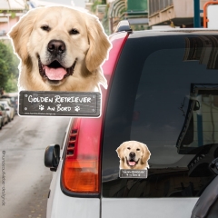 Golden Retriever an Bord Autoaufkleber