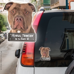 Pitbull an Bord Autoaufkleber