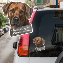 Rhodesian Ridgeback an Bord Autoaufkleber