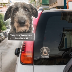 Scottish Deerhound an Bord Autoaufkleber