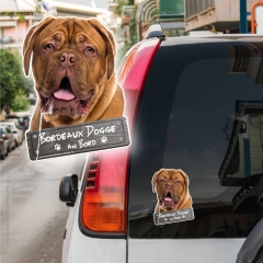 Bordeaux Dogge an Bord Autoaufkleber