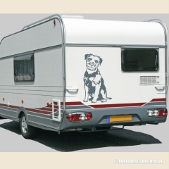 Border Terrier Autoaufkleber