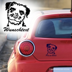 Border Terrier Kopf Autoaufkleber