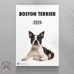 Boston Terrier Wandkalender 2024