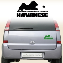 Havaneser Aufkleber 632