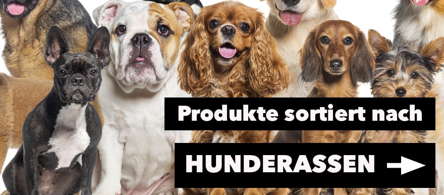 Produkte nach Hunderasse sortiert