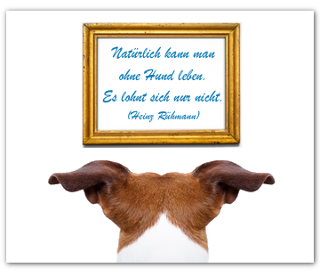 Montage von Wandtattoos